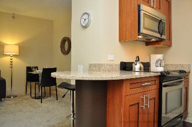 Appartement de vacances /en/au Chicago (Illinois)ou appartement ou maison de vacances