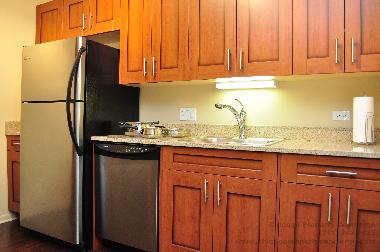 Appartement de vacances /en/au Chicago (Illinois)ou appartement ou maison de vacances