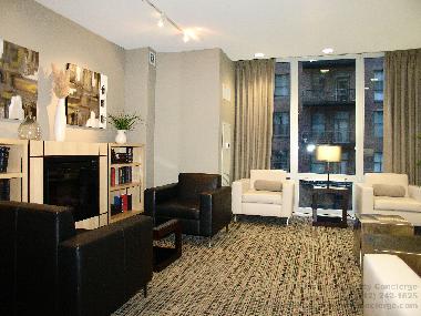 Appartement de vacances /en/au Chicago (Illinois)ou appartement ou maison de vacances
