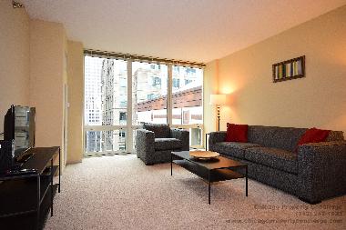 Appartement de vacances /en/au Chicago (Illinois)ou appartement ou maison de vacances