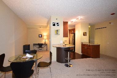 Appartement de vacances /en/au Chicago (Illinois)ou appartement ou maison de vacances