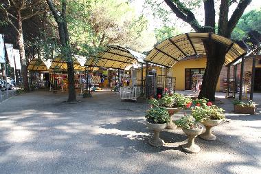 Chalet /en/au Lido degli Estensi (Ferrara)ou appartement ou maison de vacances