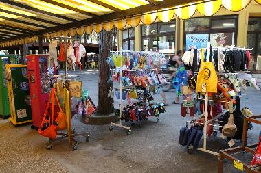 Chalet /en/au Lido degli Estensi (Ferrara)ou appartement ou maison de vacances