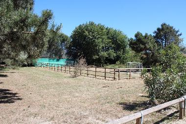 Chalet /en/au Lido degli Estensi (Ferrara)ou appartement ou maison de vacances