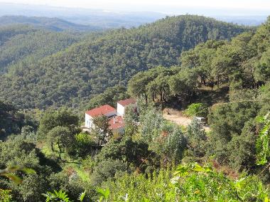 Maison de vacances /en/au Monchique (Algarve)ou appartement ou maison de vacances
