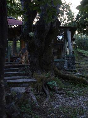 Maison de vacances �/en/au Tepoztl�n (Morelos)ou appartement ou maison de vacances