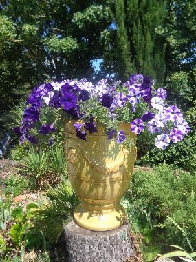 Villa /en/au La Tour sur Orb (Hrault)ou appartement ou maison de vacances