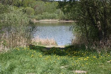 Appartement de vacances /en/au Feldberger Seenlandschaft (Mecklenburgische Seenplatte)ou appartement ou maison de vacances