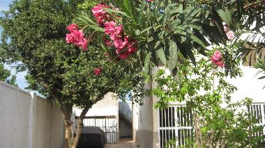 Appartement de vacances �/en/au Kerr Serign (Banjul)ou appartement ou maison de vacances