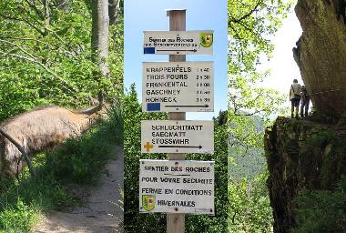 Maison de vacances /en/au Soultzeren (Haut-Rhin)ou appartement ou maison de vacances