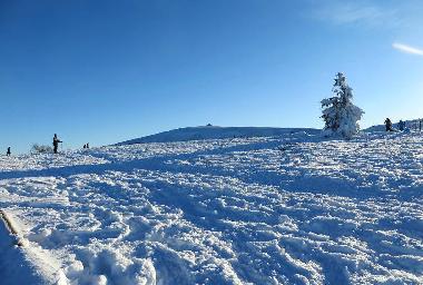 Maison de vacances /en/au Soultzeren (Haut-Rhin)ou appartement ou maison de vacances