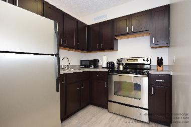 Appartement de vacances �/en/au Chicago (Illinois)ou appartement ou maison de vacances