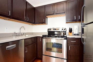 Appartement de vacances /en/au Chicago (Illinois)ou appartement ou maison de vacances