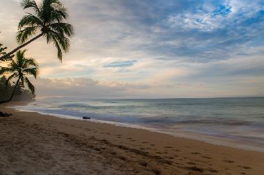 Villa �/en/au LAS TERRENAS (Samana)ou appartement ou maison de vacances