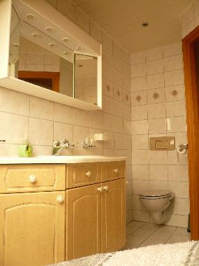 Maison de vacances /en/au Renesse (Zeeland)ou appartement ou maison de vacances