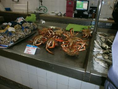 Maison de vacances /en/au olhao (Algarve)ou appartement ou maison de vacances