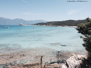 Appartement de vacances /en/au Lumio (Haute-Corse)ou appartement ou maison de vacances