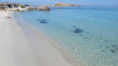 Appartement de vacances /en/au Lumio (Haute-Corse)ou appartement ou maison de vacances