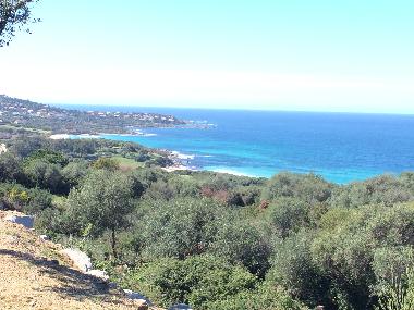 Appartement de vacances /en/au Lumio (Haute-Corse)ou appartement ou maison de vacances