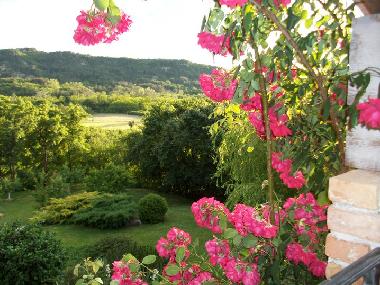 Maison de vacances /en/au Roc (Istarska)ou appartement ou maison de vacances
