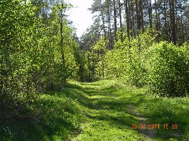 Appartement de vacances /en/au Ghrde (Lneburger Heide)ou appartement ou maison de vacances