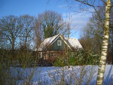 Maison de vacances /en/au Paasloo (Overijssel)ou appartement ou maison de vacances