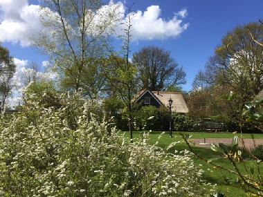 Maison de vacances /en/au Paasloo (Overijssel)ou appartement ou maison de vacances