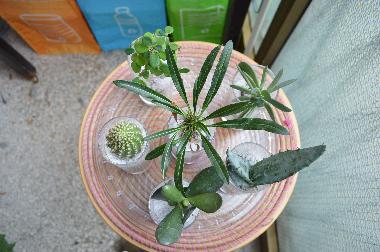 Appartement de vacances /en/au Napoli (Napoli)ou appartement ou maison de vacances