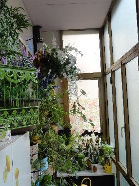 Appartement de vacances /en/au Napoli (Napoli)ou appartement ou maison de vacances