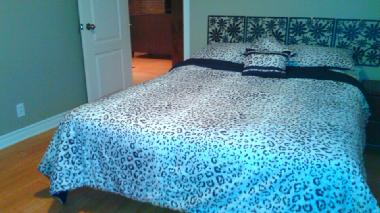 Chalet �/en/au Ste-Lucie des laurentides (Quebec)ou appartement ou maison de vacances