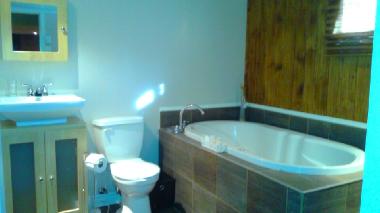 Chalet �/en/au Ste-Lucie des laurentides (Quebec)ou appartement ou maison de vacances