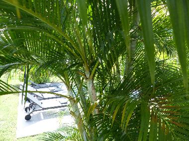 Appartement de vacances �/en/au saint fran�ois (Guadeloupe)ou appartement ou maison de vacances