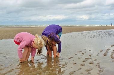 Maison de vacances /en/au Bunde-Dollart (Nordsee-Festland / Ostfriesland)ou appartement ou maison de vacances