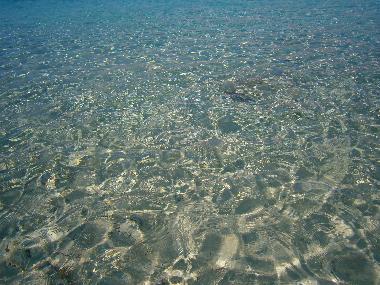 Appartement de vacances /en/au Anemomilos (Messinia)ou appartement ou maison de vacances