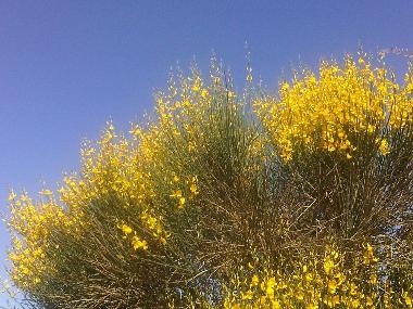 Maison de vacances �/en/au portiragnes (H�rault)ou appartement ou maison de vacances