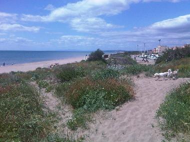 Maison de vacances �/en/au portiragnes (H�rault)ou appartement ou maison de vacances