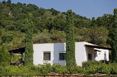 Appartement de vacances /en/au Palinuro (Salerno)ou appartement ou maison de vacances