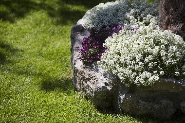 Maison de vacances �/en/au Duce (Splitsko-Dalmatinska)ou appartement ou maison de vacances