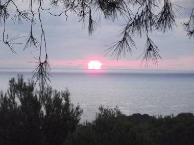 Appartement de vacances /en/au Sant Carles de Peralta (Ibiza)ou appartement ou maison de vacances