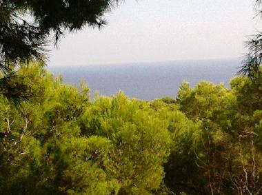 Appartement de vacances /en/au Sant Carles de Peralta (Ibiza)ou appartement ou maison de vacances