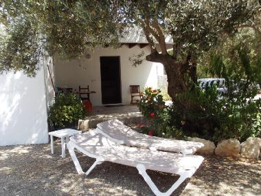 Appartement de vacances �/en/au Sant Carles de Peralta (Ibiza)ou appartement ou maison de vacances
