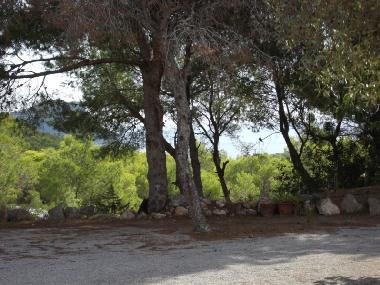 Appartement de vacances �/en/au Sant Carles de Peralta (Ibiza)ou appartement ou maison de vacances