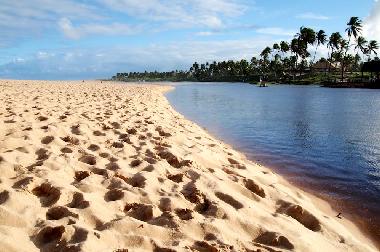 Maison de vacances �/en/au Imbassai (Bahia)ou appartement ou maison de vacances