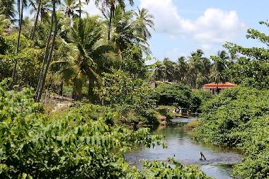 Maison de vacances �/en/au Imbassai (Bahia)ou appartement ou maison de vacances