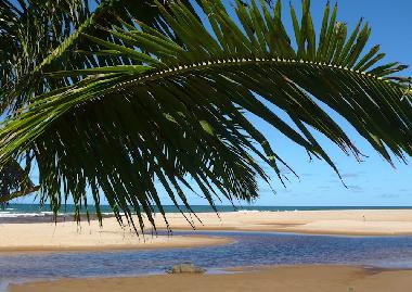 Maison de vacances �/en/au Imbassai (Bahia)ou appartement ou maison de vacances