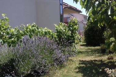 Appartement de vacances /en/au Cavriglia (Arezzo)ou appartement ou maison de vacances