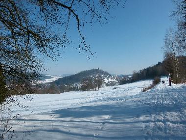 Appartement de vacances /en/au Falkenstein (Oberpfalz)ou appartement ou maison de vacances