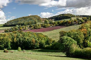 Maison de vacances /en/au Extertal / Rott (Teutoburger Wald)ou appartement ou maison de vacances