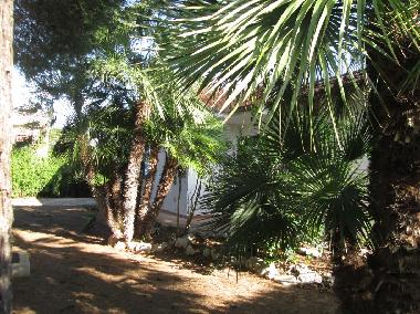 Maison de vacances /en/au Capo San Vito (Taranto)ou appartement ou maison de vacances