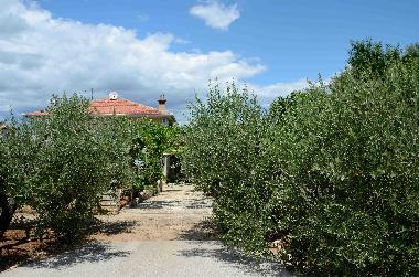 Appartement de vacances �/en/au Pula, Banjole (Istarska)ou appartement ou maison de vacances